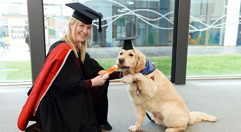 Social sharing card for Therapy dog awarded honorary degree for student support