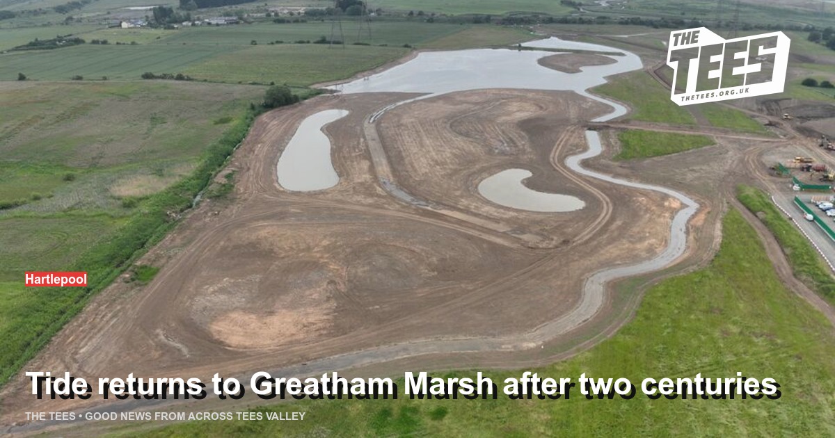 Social sharing card for Tide returns to Greatham Marsh after two centuries