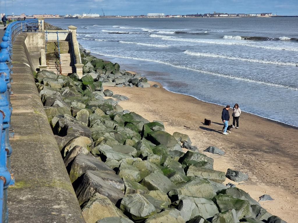 Social sharing card for Hartlepool renews dog-control and alley-gate orders for three years