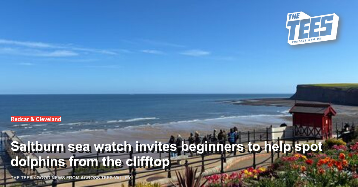 Social sharing card for Saltburn sea watch invites beginners to help spot dolphins from the clifftop