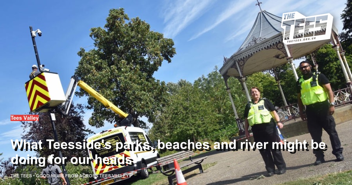 Social sharing card for What Teesside's parks, beaches and river might be doing for our heads