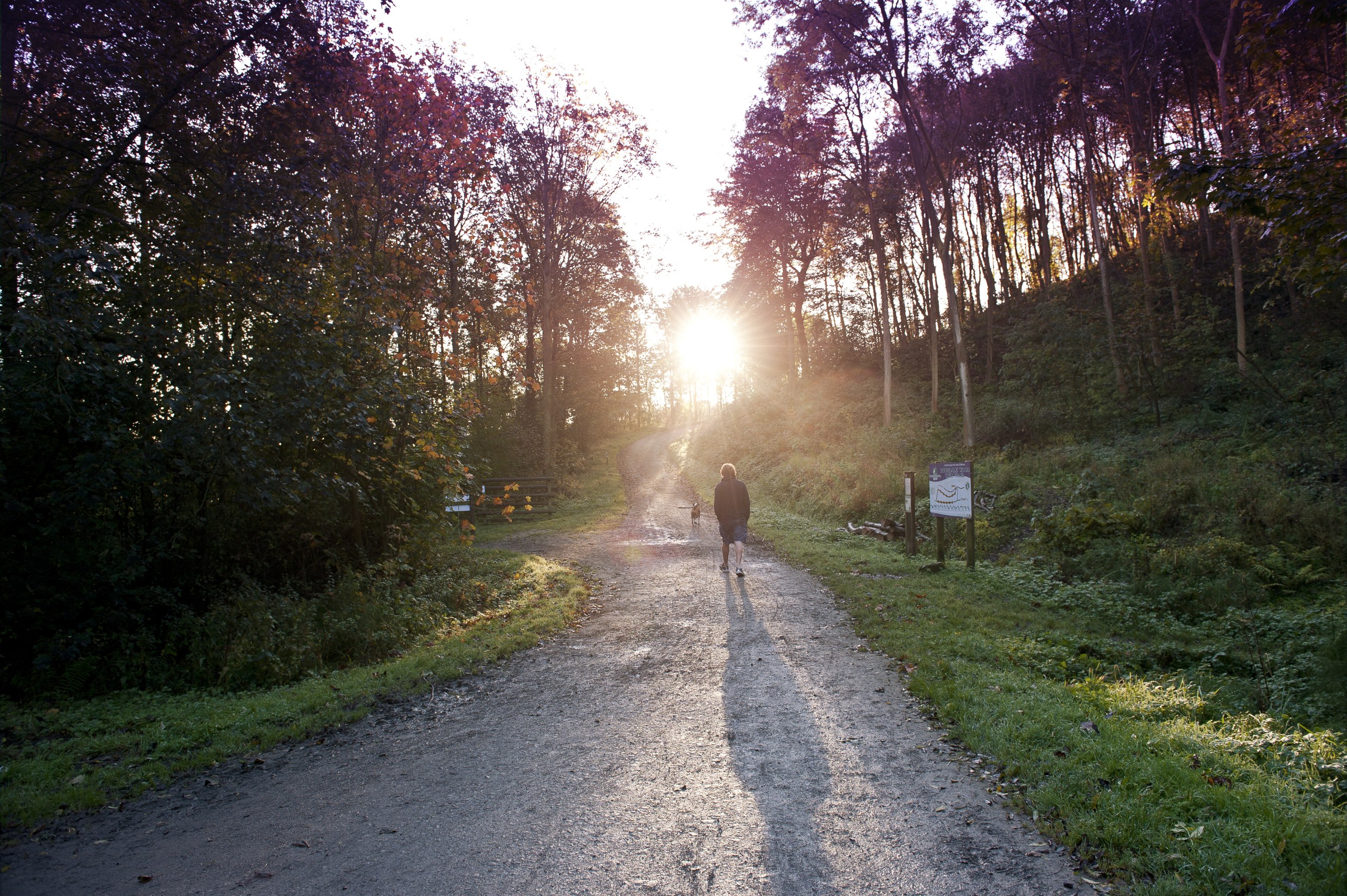 Tees Valley Chosen As Location For New Community Forest