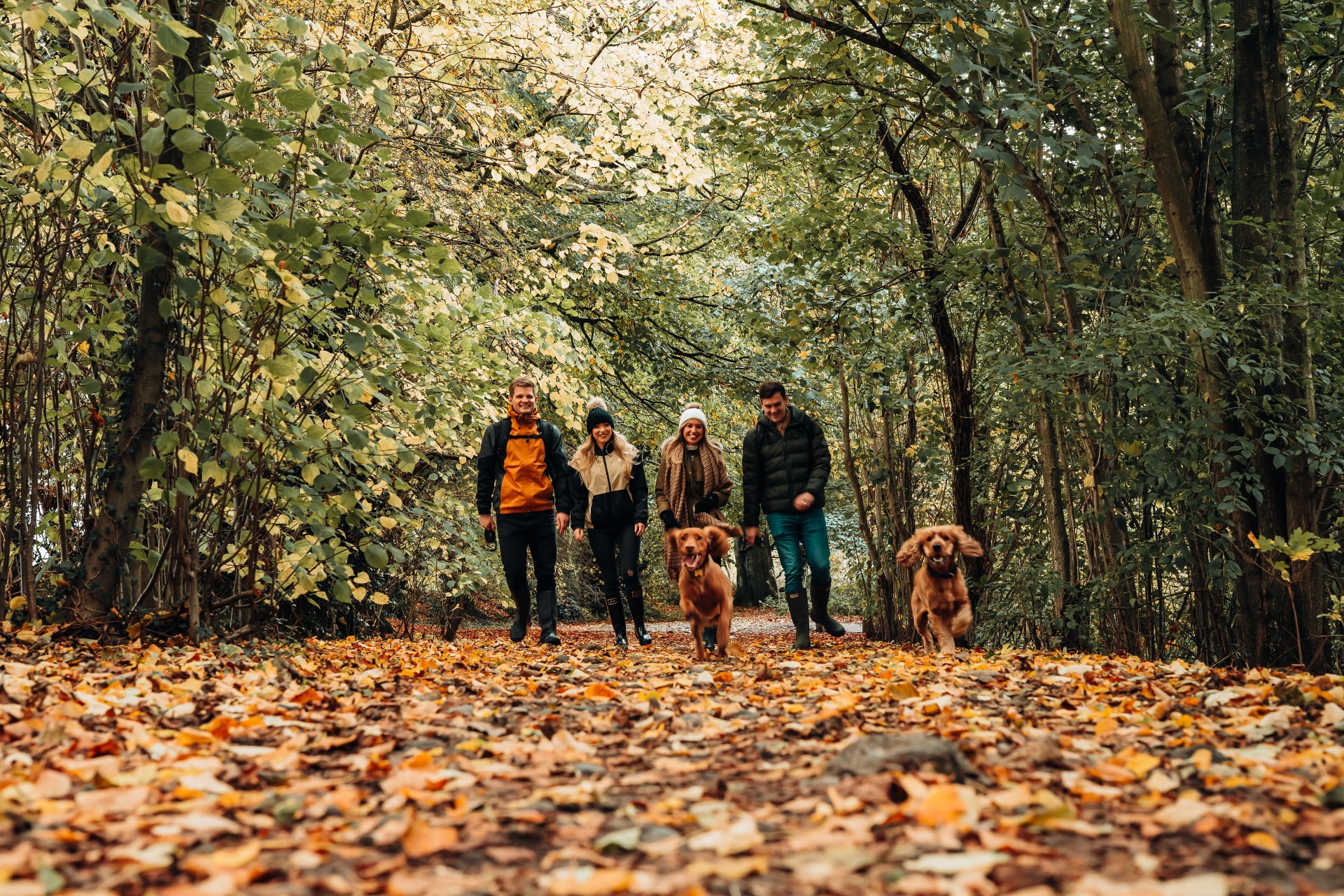 Region Secures £300,000 Government Funding for Green Jobs and to Boost Tree Cover